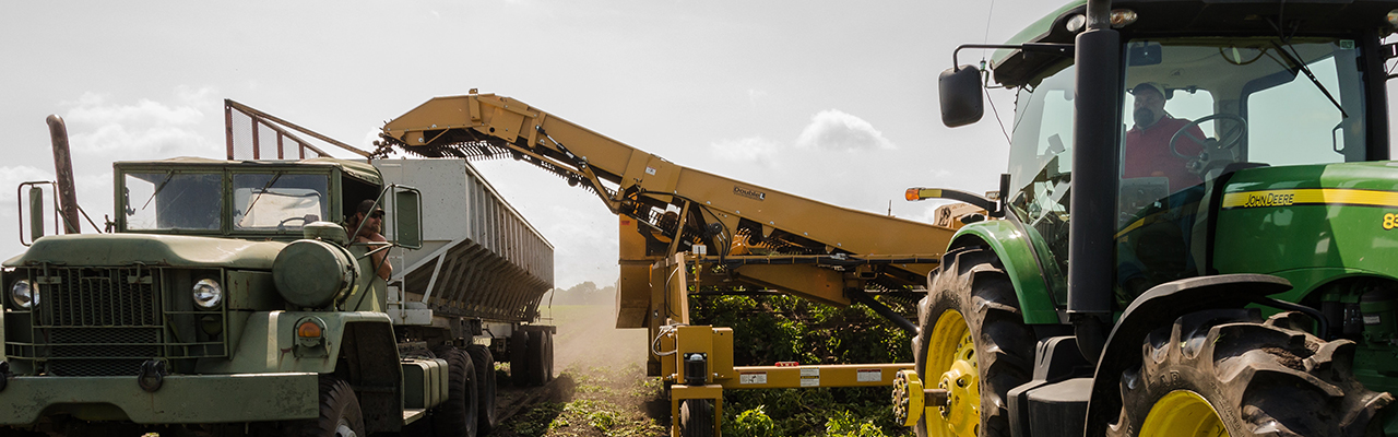 harvester harvesting crops into a large truck